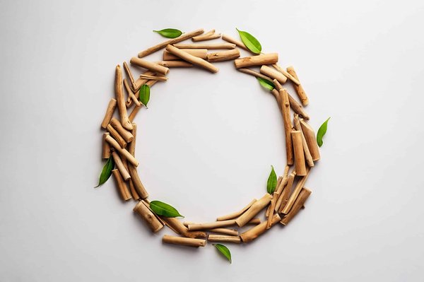 Astuces pour conserver vos aliments frais plus longtemps