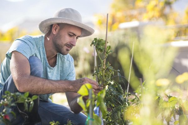 Quelle est la tendance actuelle en matière de revêtements muraux de cuisine ?